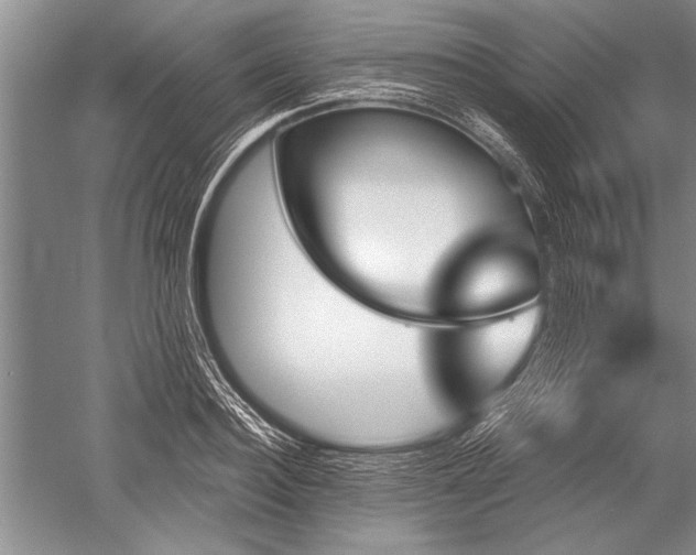 X0000052590940200507081750