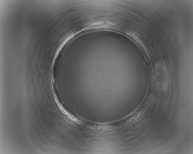 X0000052590941200507081750