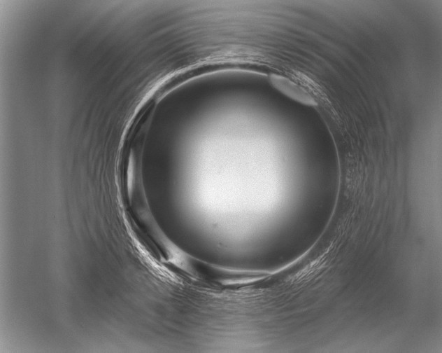 X0000052590942200507081750