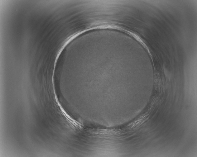 X0000052590951200507081750