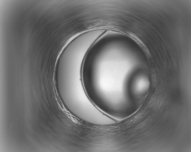 X0000052590956200507081751