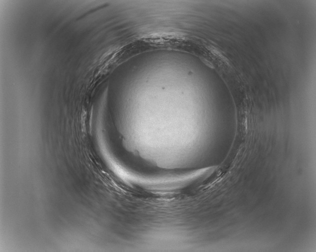 X0000052590965200507081750