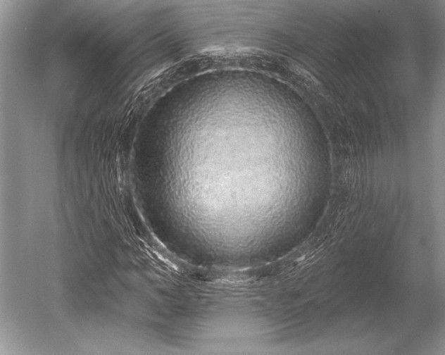 X0000052590966200507081750