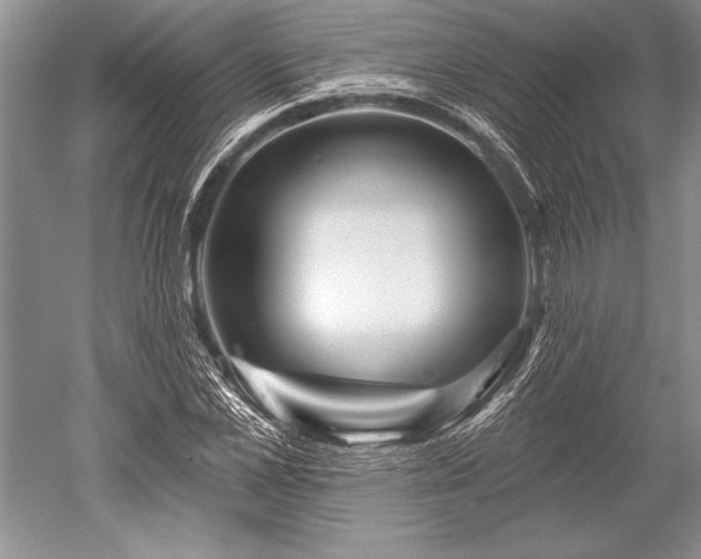 X0000052590973200507081750
