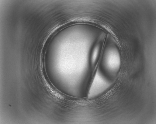 X0000052590984200507081749