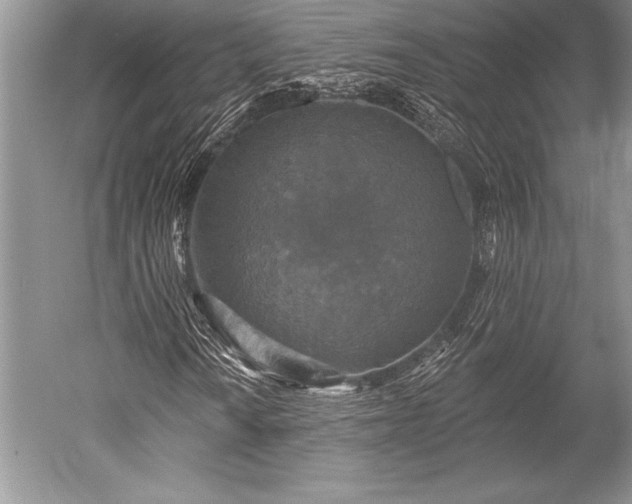 X0000052591010200507081748