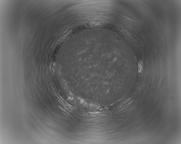 X0000052591011200507081748