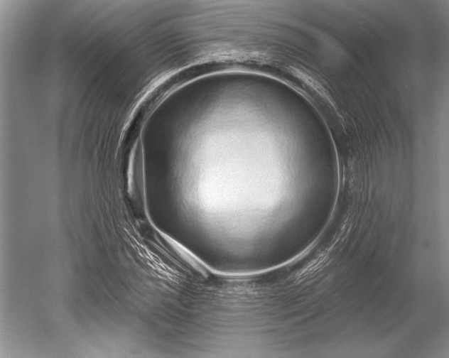 X0000052591021200507081748