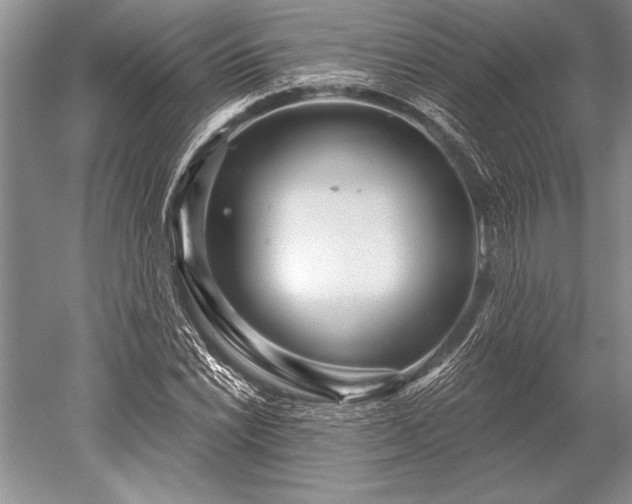 X0000052591022200507081748