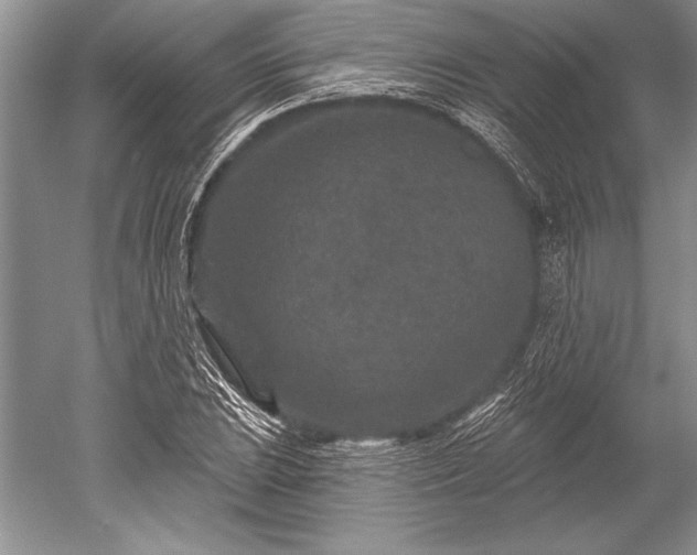X0000052591023200507081748