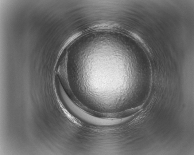 X0000052591042200507081749