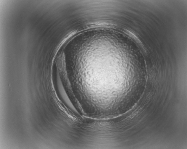 X0000052591043200507081749