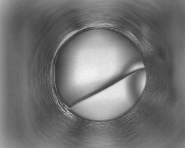 X0000052591044200507081749