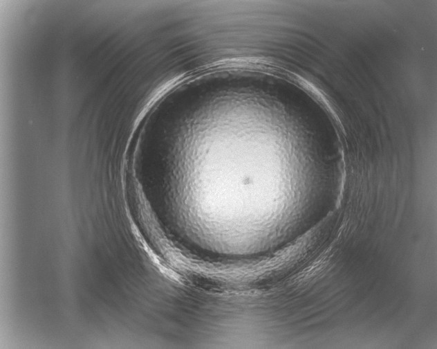 X0000052591050200507081749