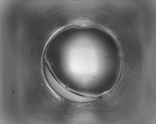 X0000052591056200507081749