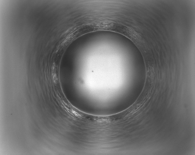 X0000052591058200507081748