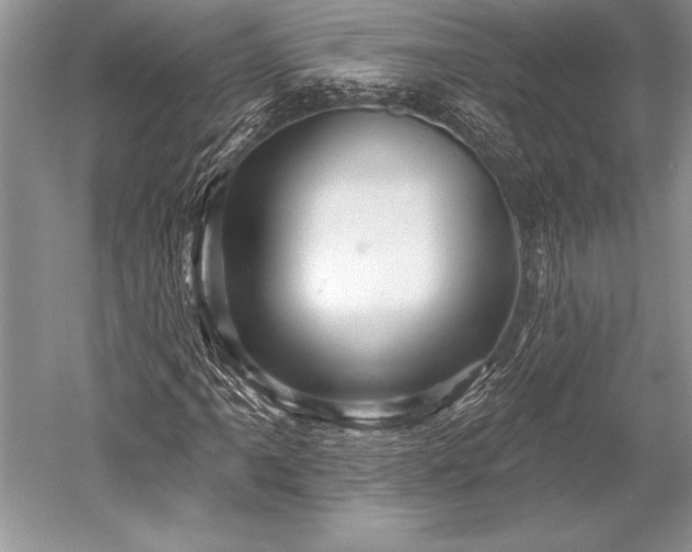 X0000052591061200507081748
