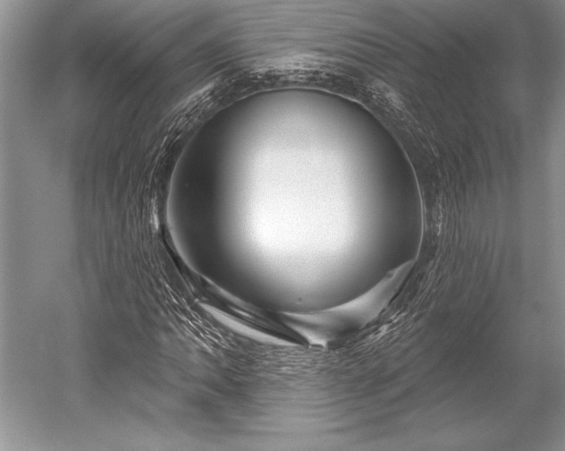 X0000052591062200507081748