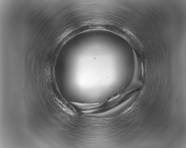 X0000052591065200507081748