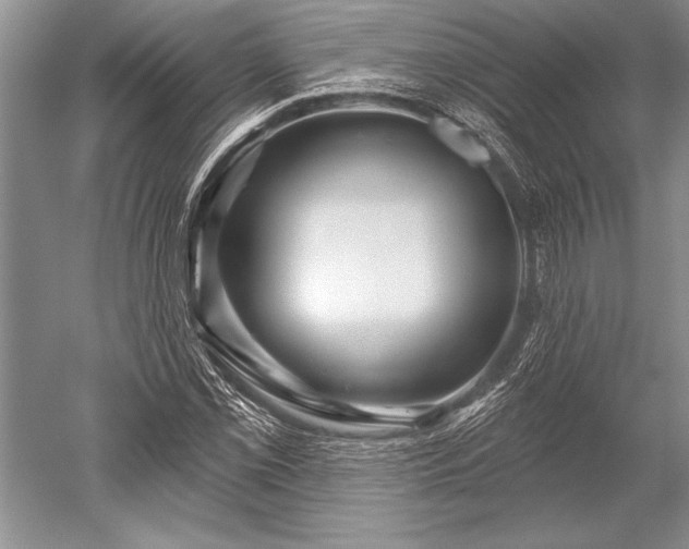 X0000052591069200507081748