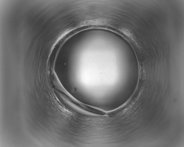 X0000052591070200507081748