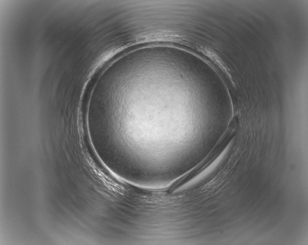 X0000052591072200507081748