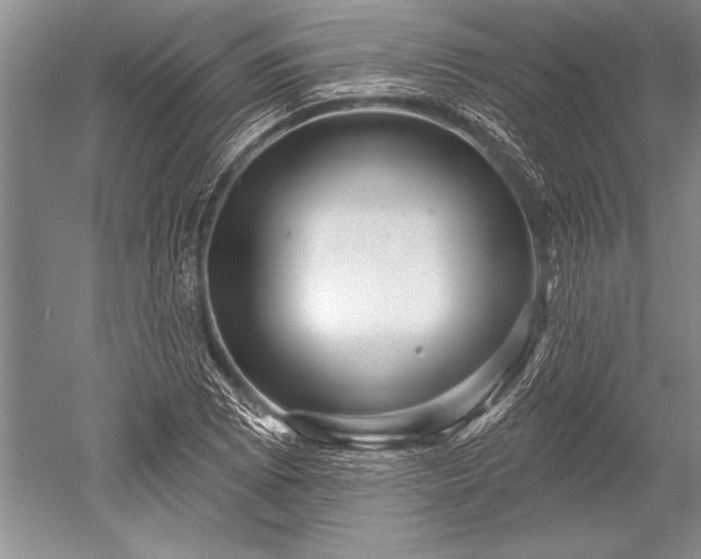 X0000052591073200507081748