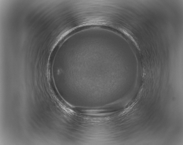 X0000052591077200507081748