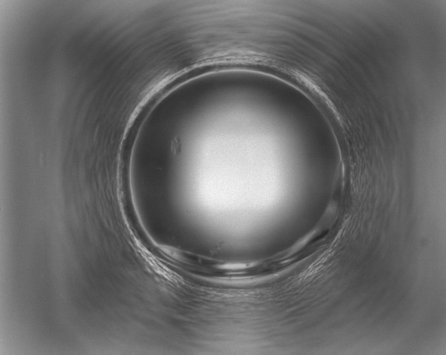 X0000052591085200507081748