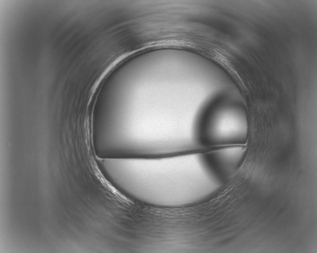 X0000052591092200507081748