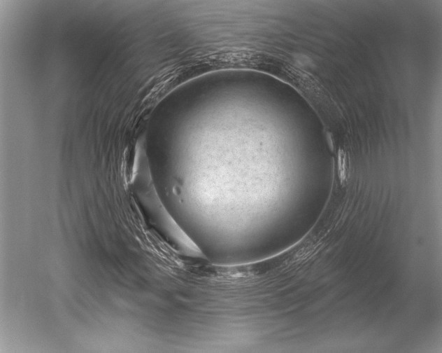 X0000052591107200507081747