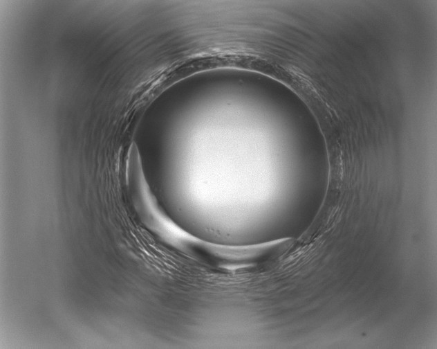 X0000052591110200507081747