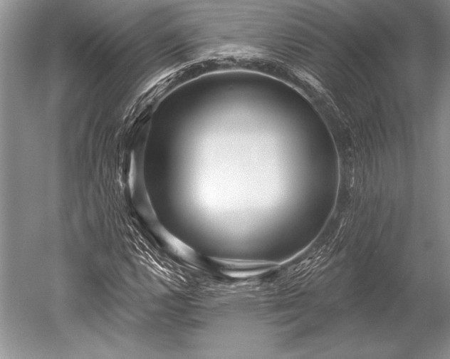 X0000052591112200507081747