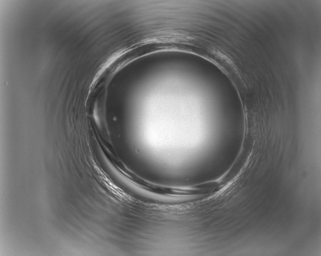 X0000052591114200507081747