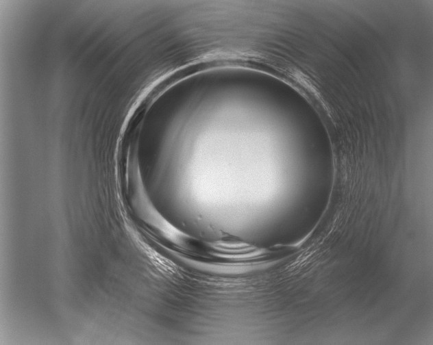 X0000052591124200507081747