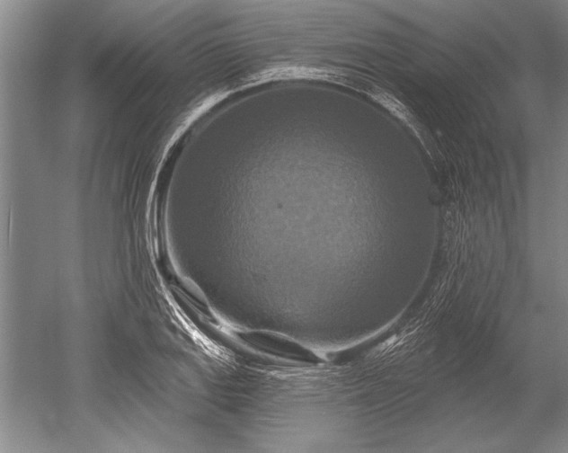 X0000052591127200507081747