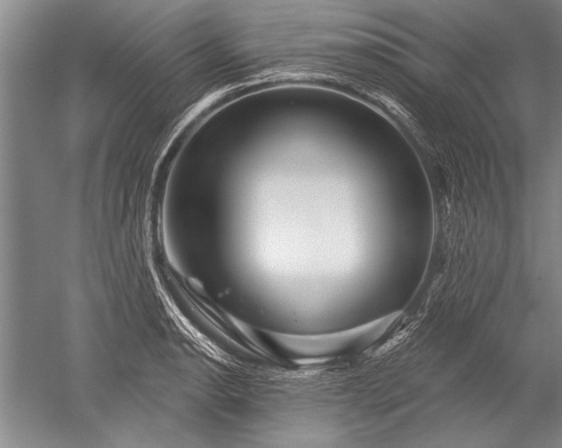 X0000052591134200507081747