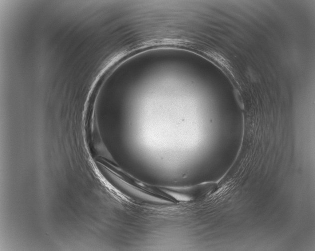 X0000052591135200507081747