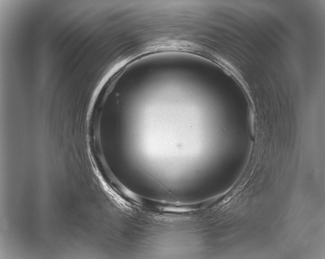X0000052591152200507081747