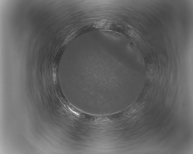 X0000052591154200507081747