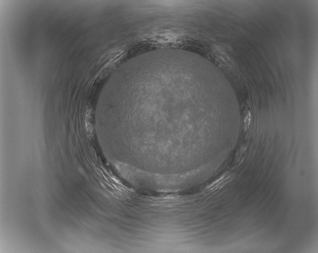 X0000052591156200507081746