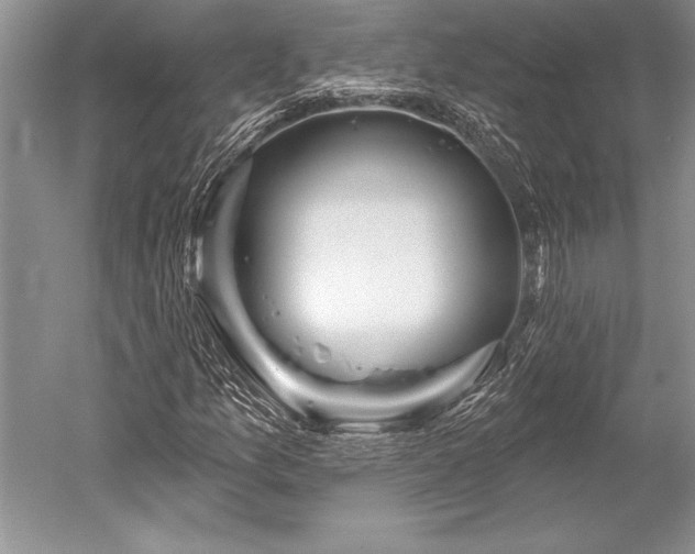 X0000052591157200507081746
