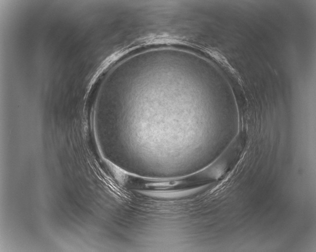 X0000052591167200507081746