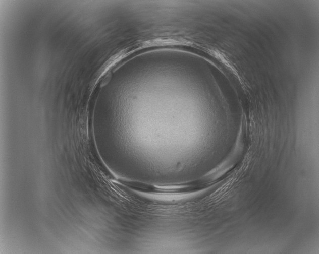 X0000052591173200507081746