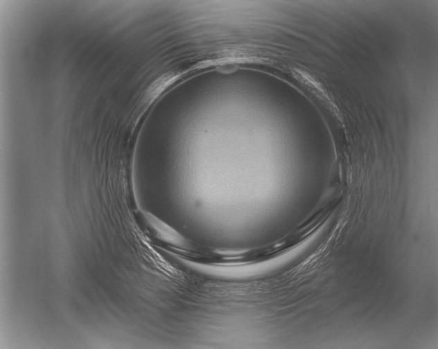 X0000052591177200507081746