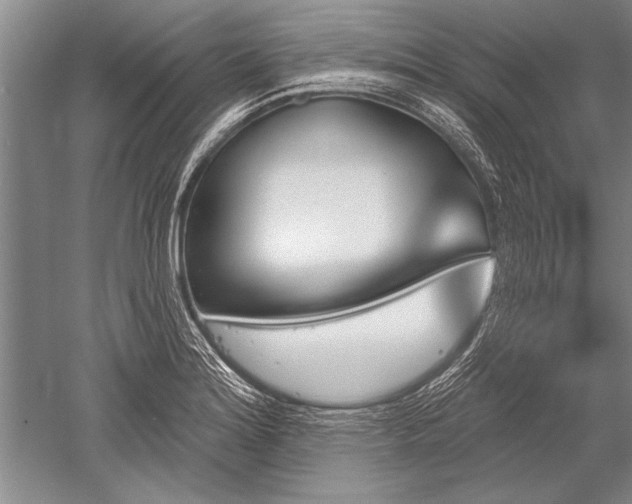 X0000052591180200507081746
