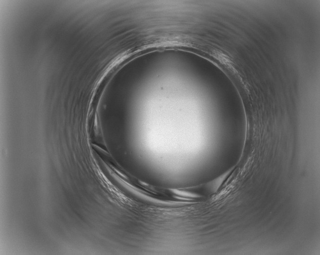 X0000052591181200507081746