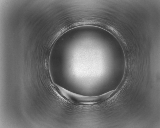 X0000052591185200507081746