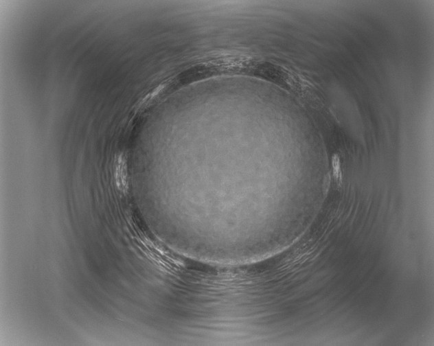 X0000052591203200507081745