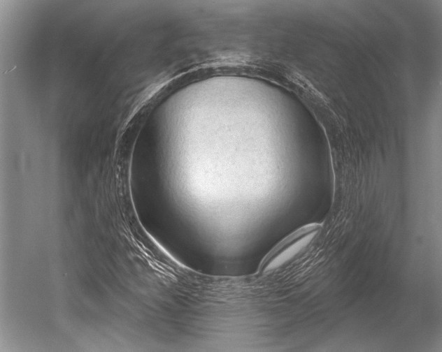 X0000052591208200507081745